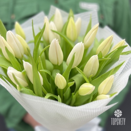 Букет из 25 белых тюльпанов