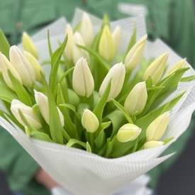 Букет из 25 белых тюльпанов