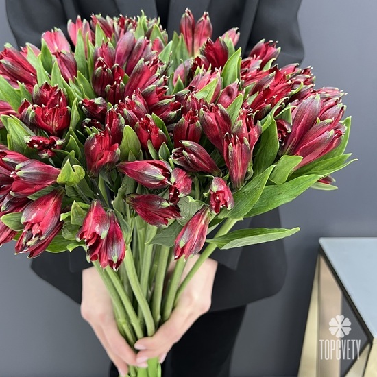 Букет 19шт альстромерия 