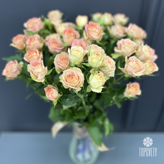 Букет из 9  кустовых роз Персик 50см