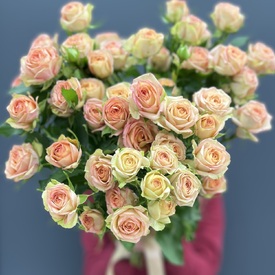 Букет из 9  кустовых роз Персик 50см