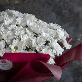 Букет из 21 белой кустовой хризантемы