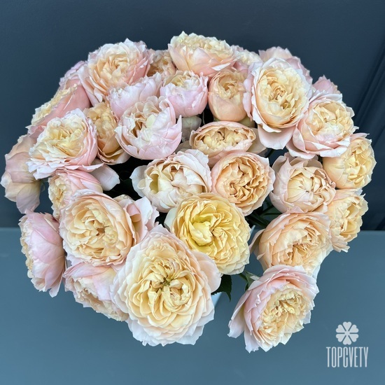 Композиция из 15 кустовых пионовидных роз  Джульетта  в коробке