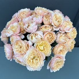 Композиция из 15 кустовых пионовидных роз  Джульетта  в коробке