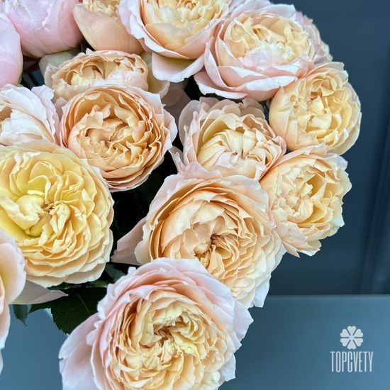 Композиция из 15 кустовых пионовидных роз  Джульетта  в коробке