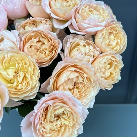 Композиция из 15 кустовых пионовидных роз  Джульетта  в коробке