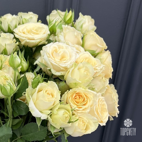 Композиция из 15 кустовой кремовой  розы в коробке