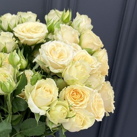 Композиция из 15 кустовой кремовой  розы в коробке