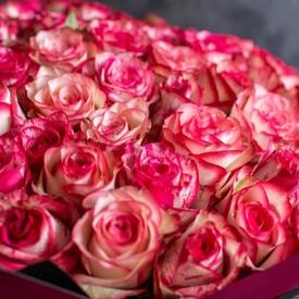 Букет из 101 розовой розы 50см