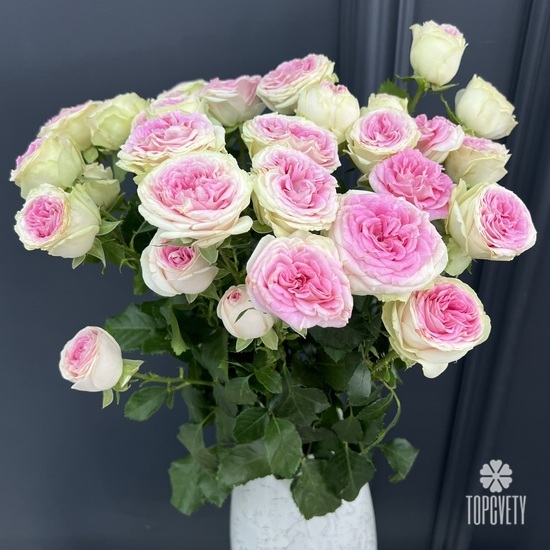 Букет из 7 пионовидных кустовых роз 70см