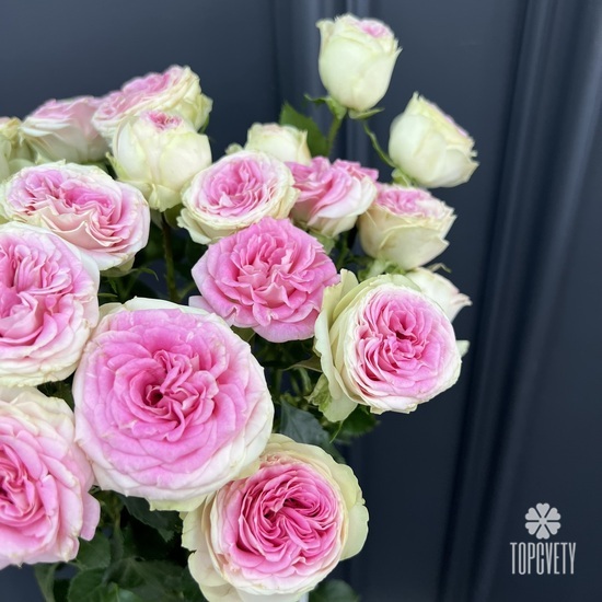 Букет из 7 пионовидных кустовых роз 70см