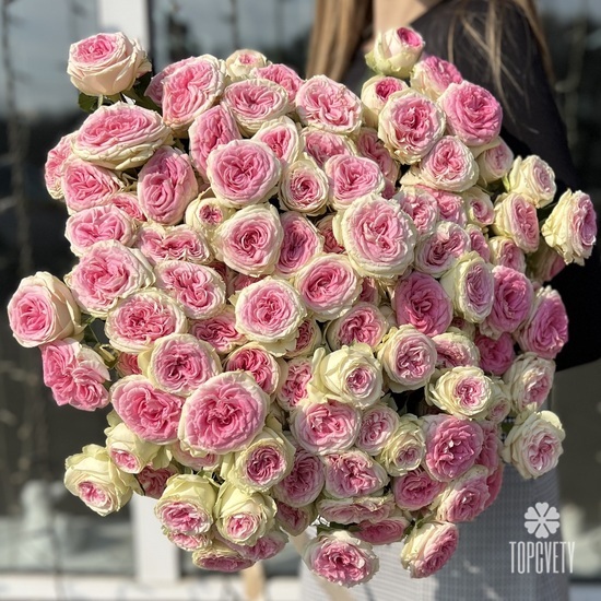 Букет из 25 кустовых пионовидных роз 70см