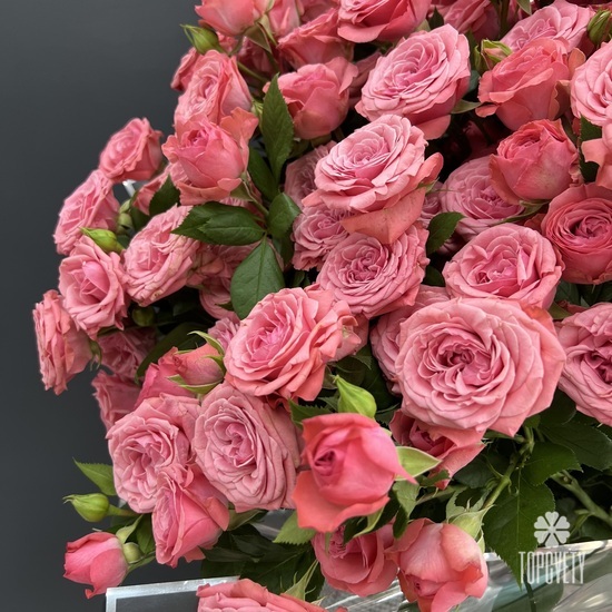 Букет из 21 кустовой пионовидной розы 80см