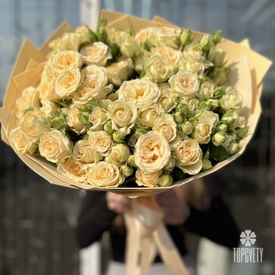 Букет из 25 кремовых кустовых роз 50см