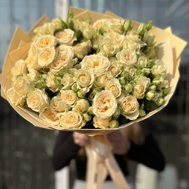 Букет из 25 кремовых кустовых роз 50см