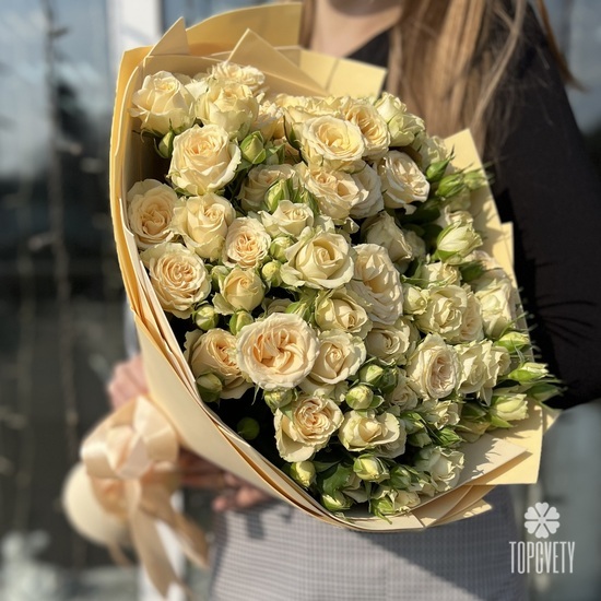 Букет из 25 кремовых кустовых роз 50см