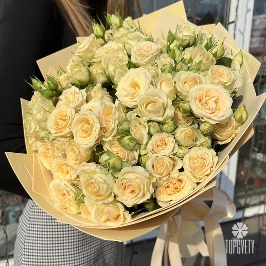 Букет из 25 кремовых кустовых роз 50см