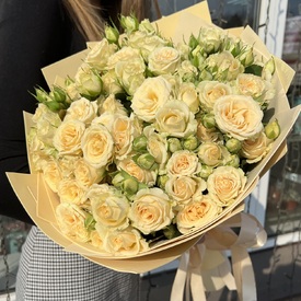 Букет из 25 кремовых кустовых роз 50см