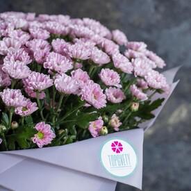 Букет из 21 розовой кустовой хризантемы Сантини 