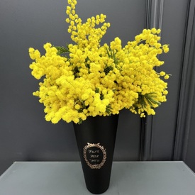 Букет из 5 веток мемозы в вазе 