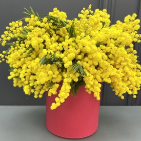 Композиция из 5 веток мемозы в коробке 