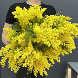 Букет из 5 веток мимозы 