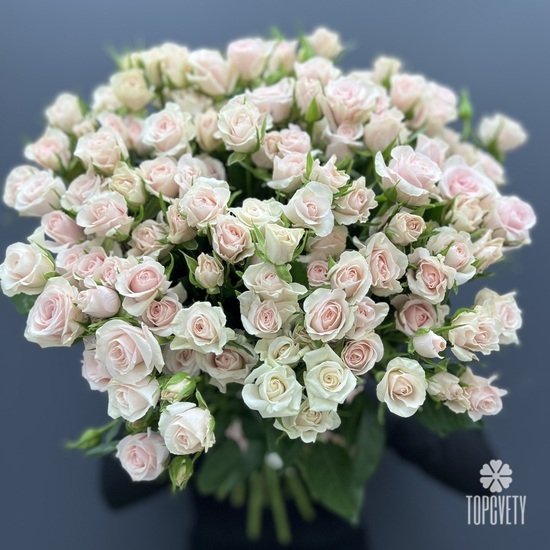 Букет из 35 нежно розовых кустовых роз 50см