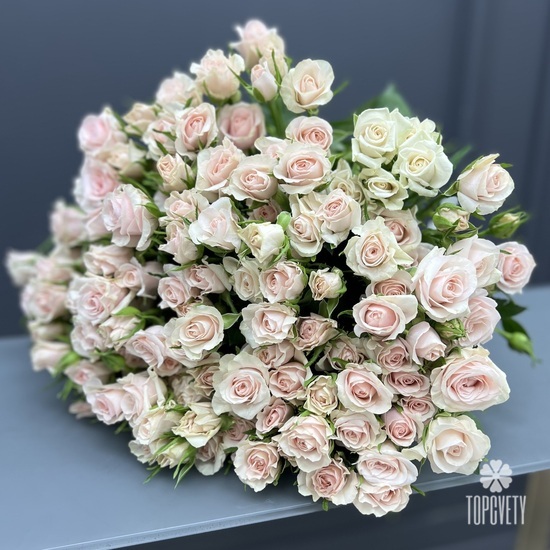 Букет из 35 нежно розовых кустовых роз 50см