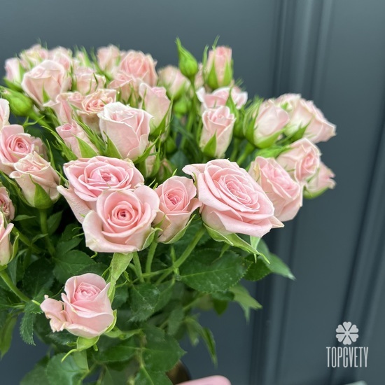 Букет из 13 кустовых роз 50см