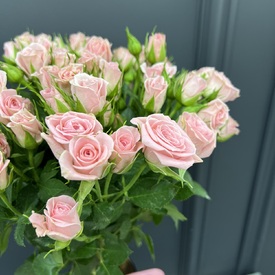 Букет из 13 кустовых роз 50см