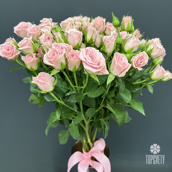 Букет из 13 кустовых роз 50см