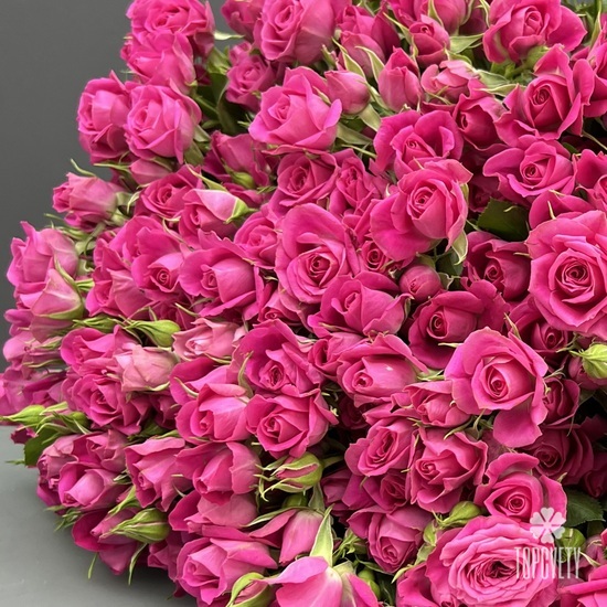Букет из 51 кустовой розы 50см