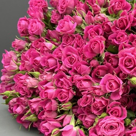 Букет из 51 кустовой розы 50см