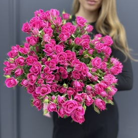 Букет из 25 малиновых кустовых роз