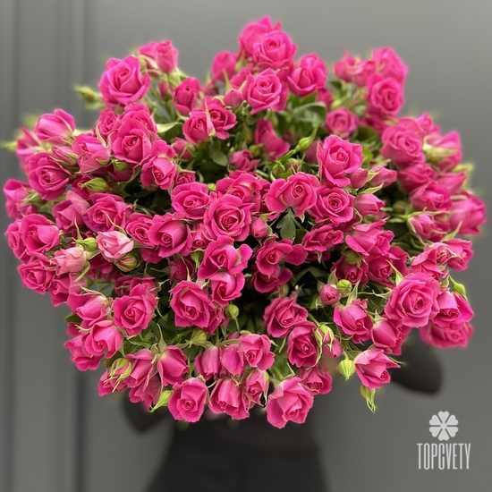 Букет из 25 малиновых кустовых роз