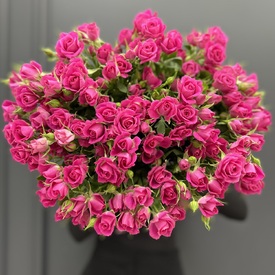 Букет из 25 малиновых кустовых роз