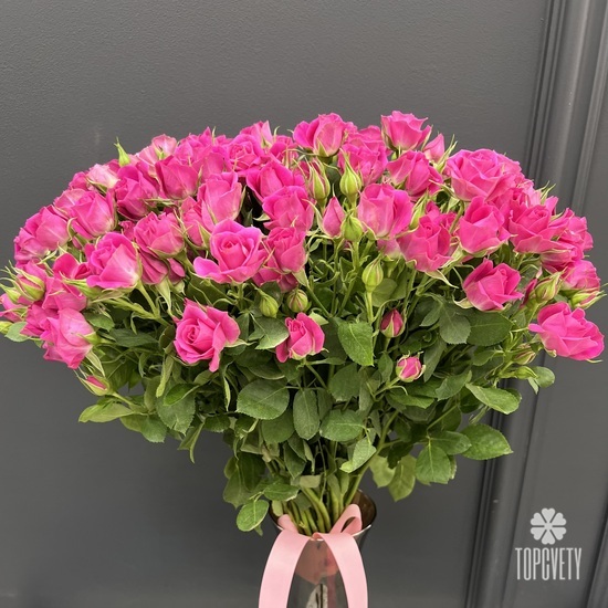 Букет из 25 малиновых кустовых роз