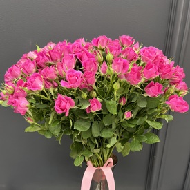 Букет из 25 малиновых кустовых роз