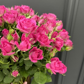 Букет из 25 малиновых кустовых роз