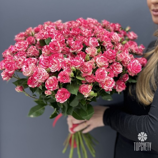Букет из 25 розовых кустовых роз Фаир вокс 50см