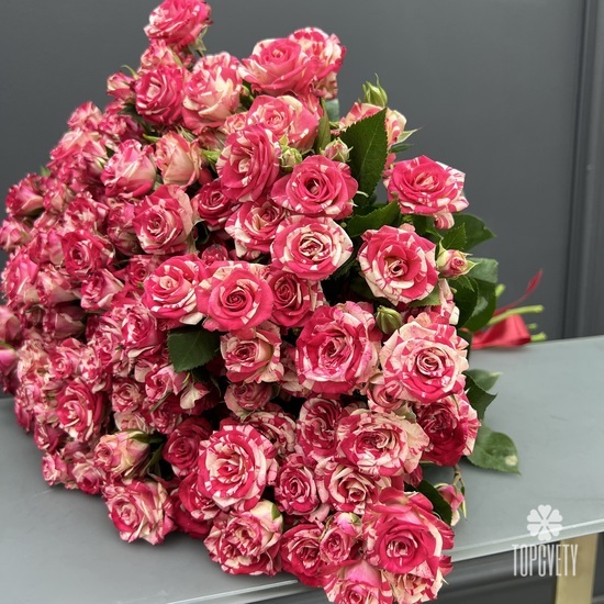 Букет из 25 розовых кустовых роз Фаир вокс 50см