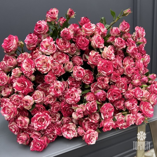 Букет из 25 розовых кустовых роз Фаир вокс 50см