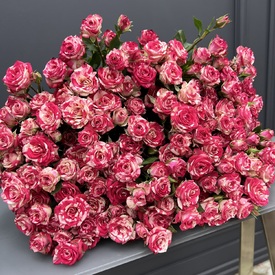 Букет из 25 розовых кустовых роз Фаир вокс 50см