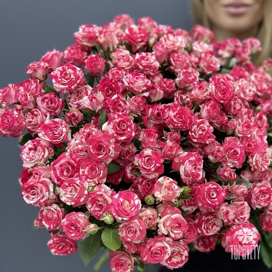 Букет из 25 розовых кустовых роз Фаир вокс 50см