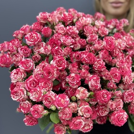 Букет из 25 розовых кустовых роз Фаир вокс 50см