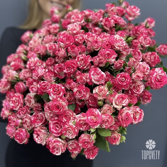 Букет из 25 розовых кустовых роз Фаир вокс 50см