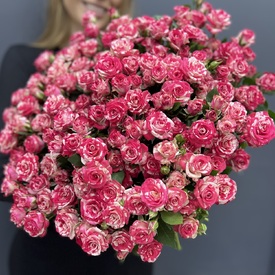 Букет из 25 розовых кустовых роз Фаир вокс 50см