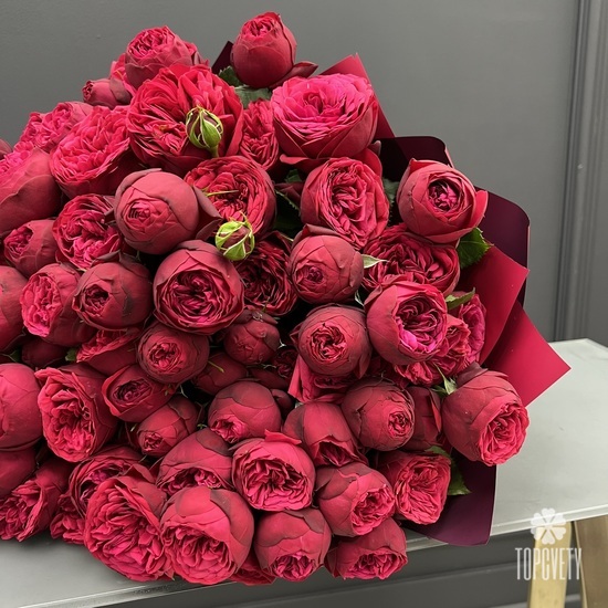 Букет из 25 красных пионовидных роз 