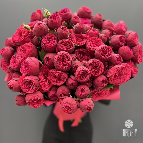 Букет из 25 красных пионовидных роз 