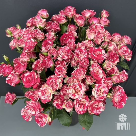 Букет из 15 кустовых роз  Фаер Фокс 60см